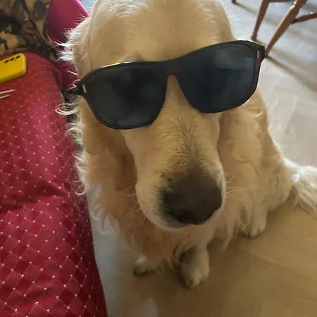 Apartamento Glam House